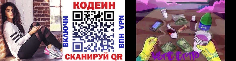 Кодеин Purple Drank  купить наркотики сайты  ссылка на мегу ТОР  Волосово 