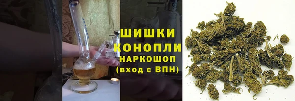 дживик Балахна