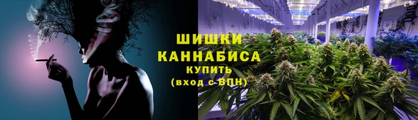 ПСИЛОЦИБИНОВЫЕ ГРИБЫ Балабаново