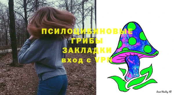 шишки Богородицк