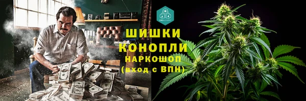 ПСИЛОЦИБИНОВЫЕ ГРИБЫ Балабаново
