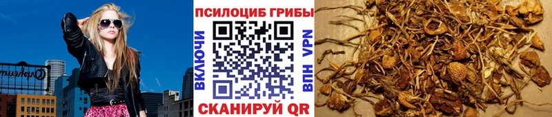 кракен как войти  Волосово  Псилоцибиновые грибы ЛСД 